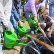 Neues Zuhause für bedrohte Amphibien: Das Biotop-Projekt am Gymnasium Bad Vöslau