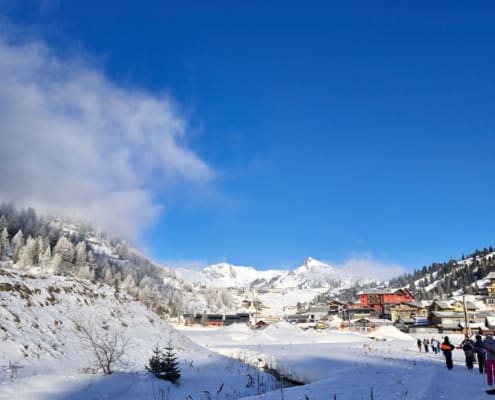 WhatsApp Image 2026-01-19 at 10.18.03