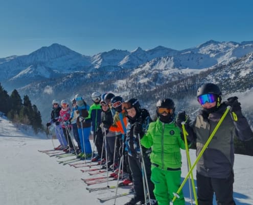 WhatsApp Image 2026-01-19 at 11.54.42